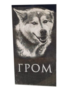 Памятники животным в Новороссийске
